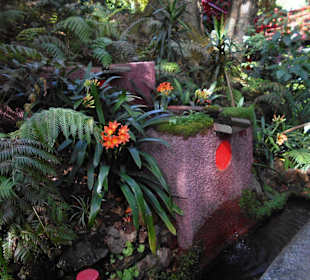Monte Palace Tropical Garden