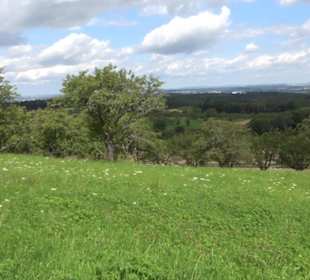 Hochgehnießen - Premiumspazierwanderweg