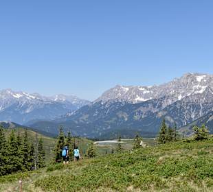 Wandern Mühlbach