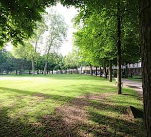 Licht und Schatten im Kurpark