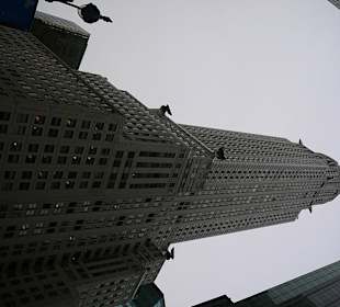    Chrysler Building