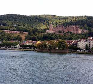 Neckar-Schifffahrt
