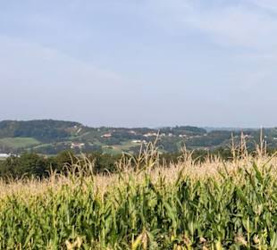 Blick Richtung Straden