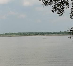 Sandstrand an der Elbe