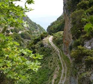 Schlucht im Taygetos