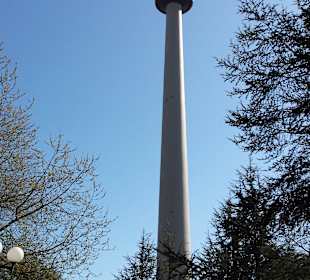 Frühling im Westfalenpark Dortmund