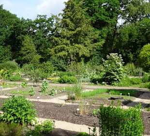 Spaziergang durch den Botanischen Garten Bremen