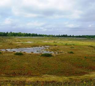 Das Oberbecken Happurger Stausee