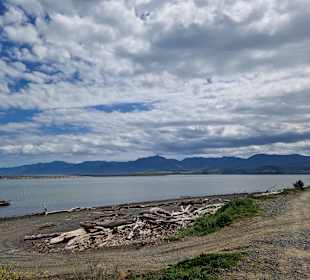 Lake Ferry Strand
