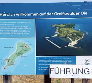 Apollo Tagestour zur Greifswalder Oie 