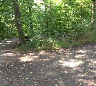 Sophienbrunnen von 1839 