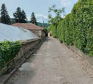 Umgebung + Botanischer Garten Baltschik + Schloss