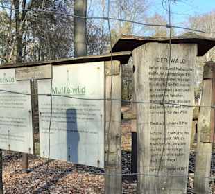 Wildpark Betzenberg in Kaiserslautern