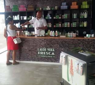 Aloe Vera Infocenter Arucas