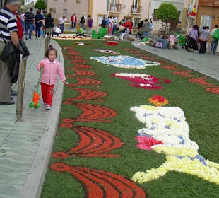 Alfombras florales Burela
