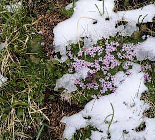 Wandern Heiligenblut