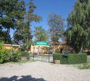 Am Rhein bei Germersheim