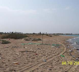 Die ungeschminkte Wahrheit