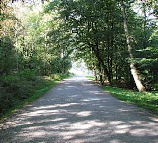 Externsteine und Europawanderweg