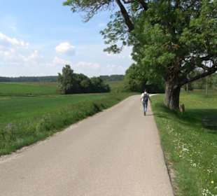 Klimaweg Sonnenalb