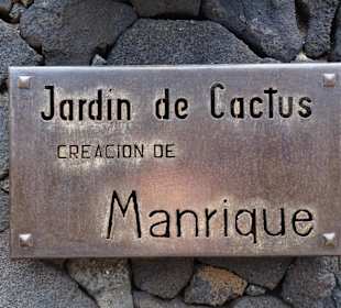 Jardin de Cactus