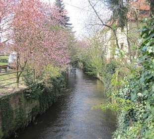 Altstadt Wissembourg