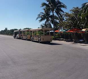 Castaway Cay