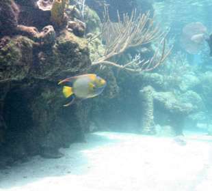 Natur- und Erlebnispark Xcaret