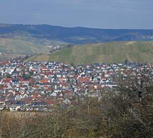 Weinberge über Weinberge