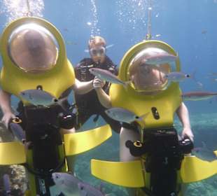 Bond Safari - Händchen halten von U-Boot zu U-Boot