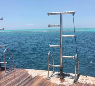 Traumhaft schön - tolles modernes Boot