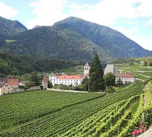 Inmitten zwischen Weinbergen