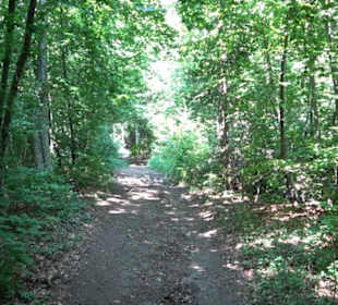 Premiumwanderweg "hochgesprudelt"