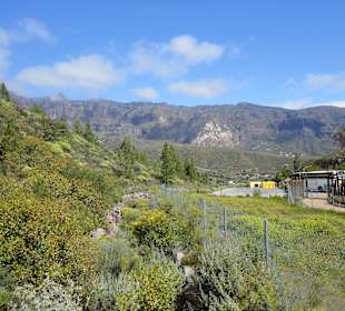Tunte/San Bartolomé de Tirajana, Gran Canaria