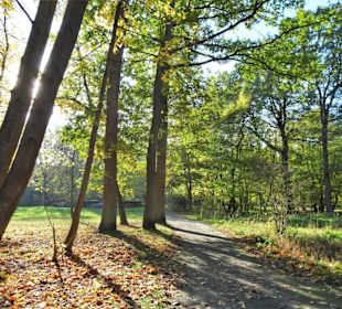 Spaziergang durch den Kurpark Wilhelmshaven
