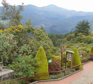 Cerro Monserrate, der "Hausberg" Bogotás. 