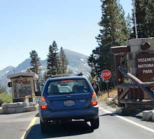 Tioga Pass