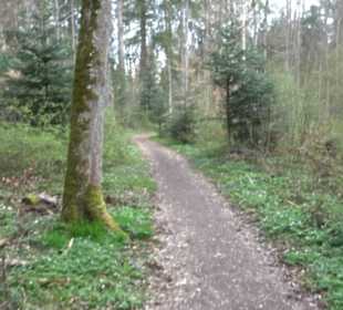 Vitus Mayer Waldlehrpfad