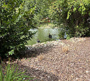 Irrland Bauernhof-Erlebnisoase