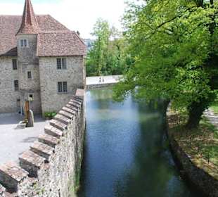 Das Wasserschloss Hallwyl