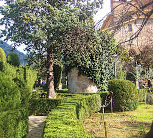 Garten des Königs Joan Carles I.