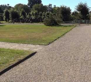 Wildblumenwiese - Berggarten