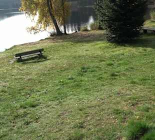 Windgfällweiher
