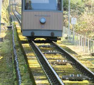 Fahrt mit der Merkurbergbahn hoch zum Merkurberg