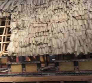 Museum für Völkerkunde