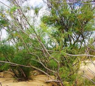 Ende September 2010 Inspirationen