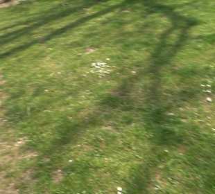 Bürgerpark Herrschaftsgärten