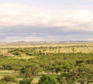 View from the Camp in Serengeti