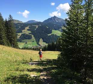 Wandern Rieden am Forggensee