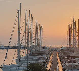 Yachthafen Novigrad